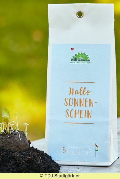 Samenbomben 'Hallo Sonnenschein'