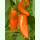 Paprika Hamik - Gemüsepaprika (Saatgut)