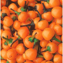 Chili Orange Kirsche - Capsicum annuum (Bio-Saatgut)
