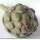 Cynara cardunculus var. scolymus Verte de Provence - Gemüse-Artischocke (Saatgut)