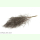 Foeniculum vulgare Smokey - Bronzefarbener Blatt-Fenchel (Saatgut)