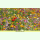 Blumenwiese XIII - Niedrige Sommerblumen (Bio-Saatgut)