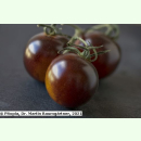 Tomate Lilac - Fleisch-Tomate (Bio-Saatgut)