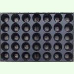 Topfanzuchtplatte QuickPot mit 35 Töpfe à 60 x 65 mm