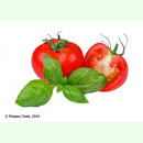 Tomate Matina - Frühe Salattomate (Bio-Saatgut)