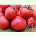 Tomate Berner Rose - Fleischtomate (Saatgut)