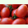 Tomate Amish Pasta - Fleischtomate (Bio-Saatgut)