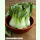 Asia-Gemüse Taisai - Pak Choi (Bio-Saatgut)
