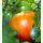 Tomate Ananas - Fleischtomate (Saatgut)