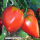 Tomate Großes Ochsenherz - Fleischtomate (Saatgut)